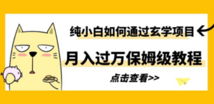 纯小白如何通过玄学项目月入过万保姆级教程