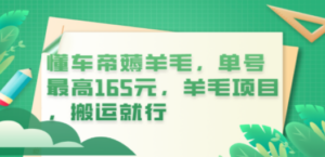 懂车帝薅羊毛，单号最高165元，羊毛项目，搬运就行