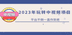 2023一心0基础玩转中视频项目：平台不倒，一直做到老 [复制链接]