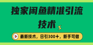 独家闲鱼引流技术，日引300＋实战玩法