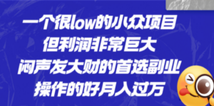 一个很low的小众项目，但利润非常巨大，闷声发大财的首选副业，月入过万