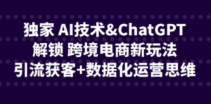 独家 AI技术&ChatGPT解锁 跨境电商新玩法，引流获客+数据化运营思维