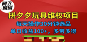 拼多多3C玩具维权项目，一天操作半小时，稳定收入100+（仅揭秘）