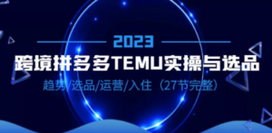 2023跨境·拼多多·TEMU实操与选品，趋势·选品·运营·入住（27节完整）