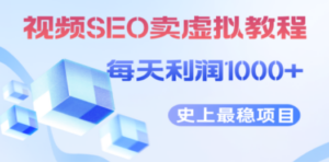 视频SEO出售虚拟产品 每天稳定2-5单 利润1000+ 史上最稳定私域变现项目