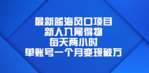 最新蓝海风口项目，新人入局得物，每天两小时，单账号一个月变现破万