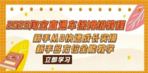 2023淘宝直通车保姆级教程：新手从0快速成长实操，新手多方位全能教学