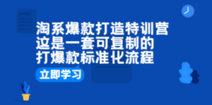 淘系爆款打造特训营：这是一套可复制的打爆款标准化流程