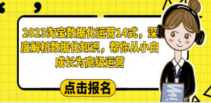 2023淘宝数据化-运营 14式，深度解析数据化知识，帮你从小白成长为高级运营 ...