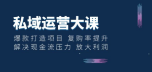 私域运营大课：爆款打造项目 复购率提升 解决现金流压力 放大利润