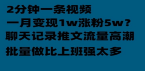 聊天记录推文！！！月入1w轻轻松松，上厕所的时间就做了