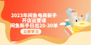 2023年闲鱼电商新手开店运营课：闲鱼新手日出20-30单（18节-实战干货）