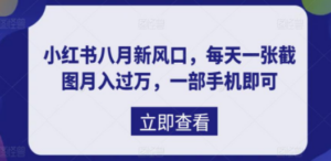 八月新风口，小红书虚拟项目一天收入1000+，实战揭秘