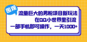 流量巨大的男粉项目新玩法，在QQ小世界里引流 一部手机即可操作，一天1000+ ...