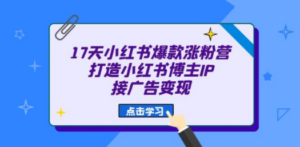 17天 小红书爆款 涨粉营（广告变现方向）打造小红书博主IP、接广告变现