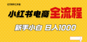 外面收费4988的小红书无货源电商从0-1全流程，日入1000＋