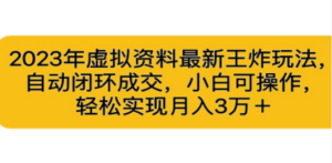 2023年虚拟资料最新王炸玩法，自动闭环成交，小白可操作，轻松实现月入3… ...