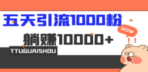 5天引流1000+，赚了1w+