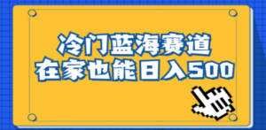 冷门蓝海赛道，卖软件安装包居然也能日入500+长期稳定项目，适合小白0基础 ...