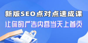 新版SEO点对点引流速成课 让你的广告内容当天上首页