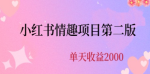 最近爆火小红书情趣项目第二版，每天2000+