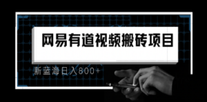 8月有道词典最新蓝海项目，视频搬运日入800+