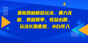 最新揭秘橱窗玩法，暴力无脑，收益必翻，玩法长期套用，小白可入