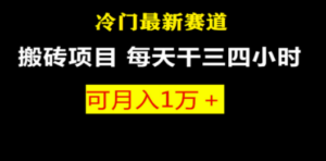 最新冷门游戏搬砖项目，小白零基础也可以月入过万（附教程+软件）