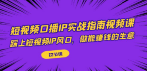 短视频口播IP实战指南视频课，踩上短视频IP风口，做能赚钱的生意（22节课） ...