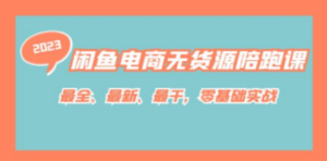 闲鱼电商无货源陪跑课，最全、最新、最干，零基础实战