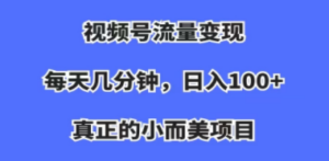 视频号流量变现，每天几分钟，收入100+，真正的小而美项目