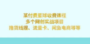 某付费星球课程：多个网创实战项目，撸货线报、流量卡、闲鱼电商等等