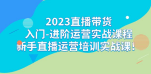 2023直播带货入门-进阶运营实战课程：新手直播运营培训实战课