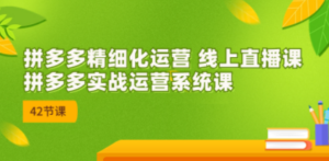 2023年8月新课-拼多多精细化运营 线上直播课：拼多多实战运营系统课-42节