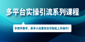 多平台实操引流系列课程，手把手教学，新手小白看完也可轻松上手引流操作 ...