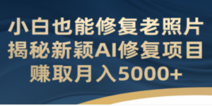 小白也能修复老照片！揭秘新颖AI修复项目，赚取月入5000+