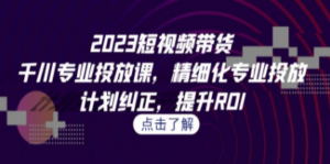 2023短视频带货-千川专业投放课，精细化专业投放，计划纠正，提升ROI