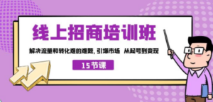 线上·招商培训班，解决流量和转化难的难题 引爆市场 从起号到变现（15节） ...