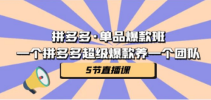 拼多多·单品爆款班，一个拼多多超级爆款养一个团队（5节直播课）