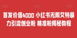 首发价值4000 小红书无限艾特暴力引流创业粉 精准粉揭秘教程