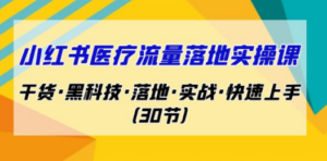 小红书·医疗流量落地实操课，干货·黑科技·落地·实战·快速上手（30节）