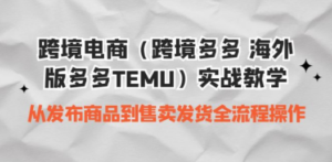 境电商（跨境多多 海外版多多TEMU）实操教学 从发布商品到售卖发货全流程