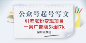 公众号起号写文、引流涨粉变现项目，一条广告赚5k到7k，保姆级教程