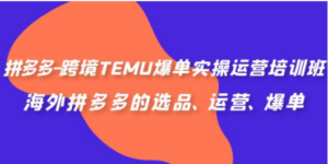 拼多多-跨境TEMU爆单实操运营培训班，海外拼多多的选品、运营、爆单