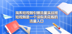 淘系短视频引爆流量实战班，短视频是一个没有天花板的流量入口