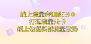 线上流量密训班19.0，打通流量关卡，线上也能实战流量破局