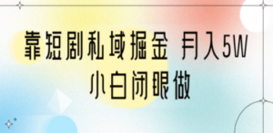 靠短剧私域掘金 月入5W 小白闭眼做（教程+2T资料）