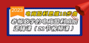 电商盈利-思维10步曲，老板必学的电商盈利底层逻辑课（21节视频课）