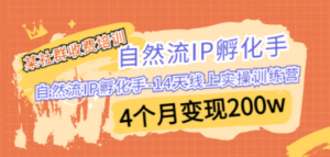 某社群收费培训：自然流IP 孵化手-14天线上实操训练营 4个月变现200w