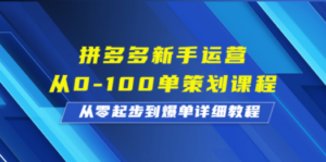 拼多多新手运营从0-100单策划课程，从零起步到爆单详细教程